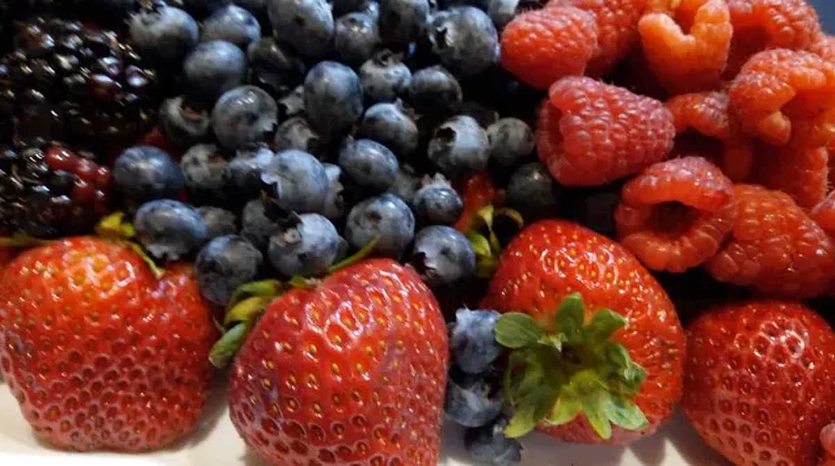 Michoacán participará en el 11° Congreso Internacional de Aneberries