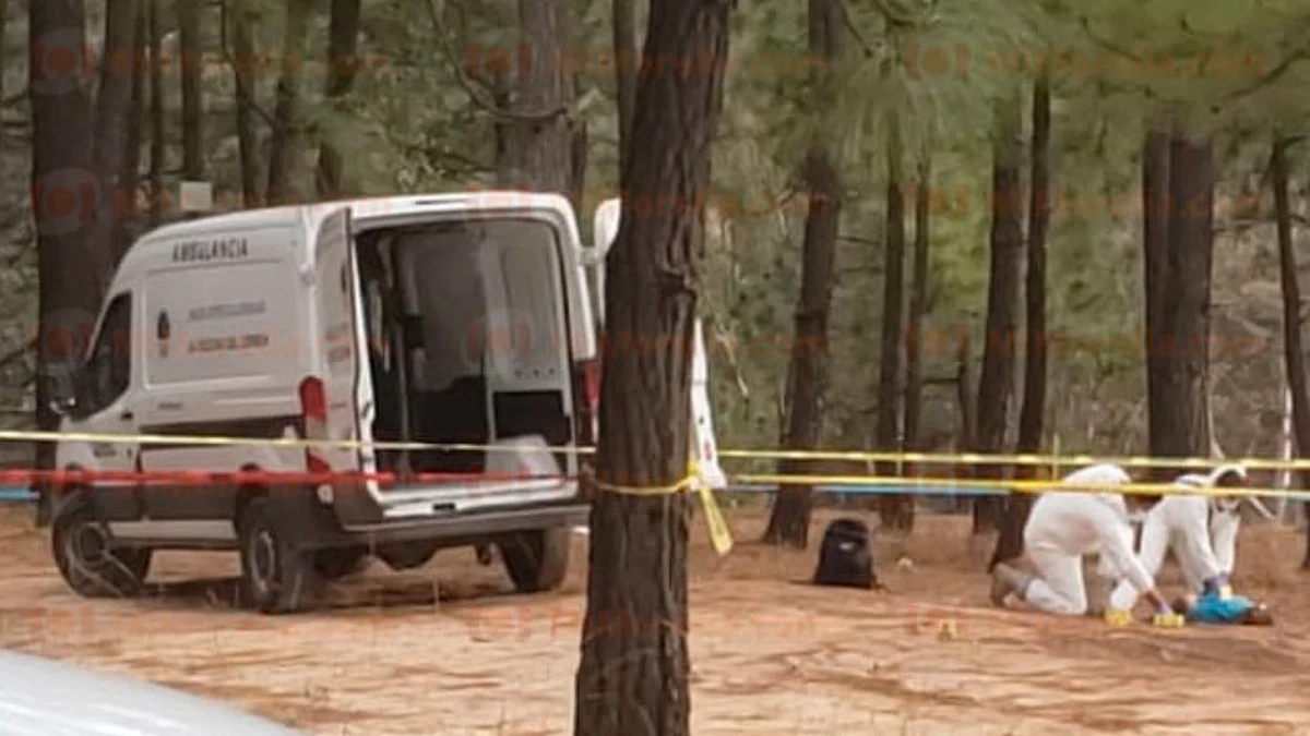 Asesinan a hombre de un escopetazo en Michoacán