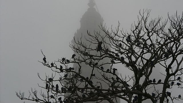Galería Neblina afecta visibilidad en varios puntos de Morelia
