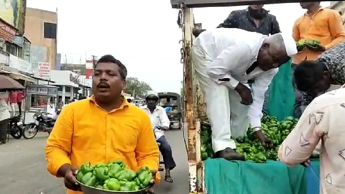 भोपळी मिरचीला कवडीमोल भाव, इंदापुरात माल रस्त्यावर फेकत शेतकऱ्याने केला निषेध