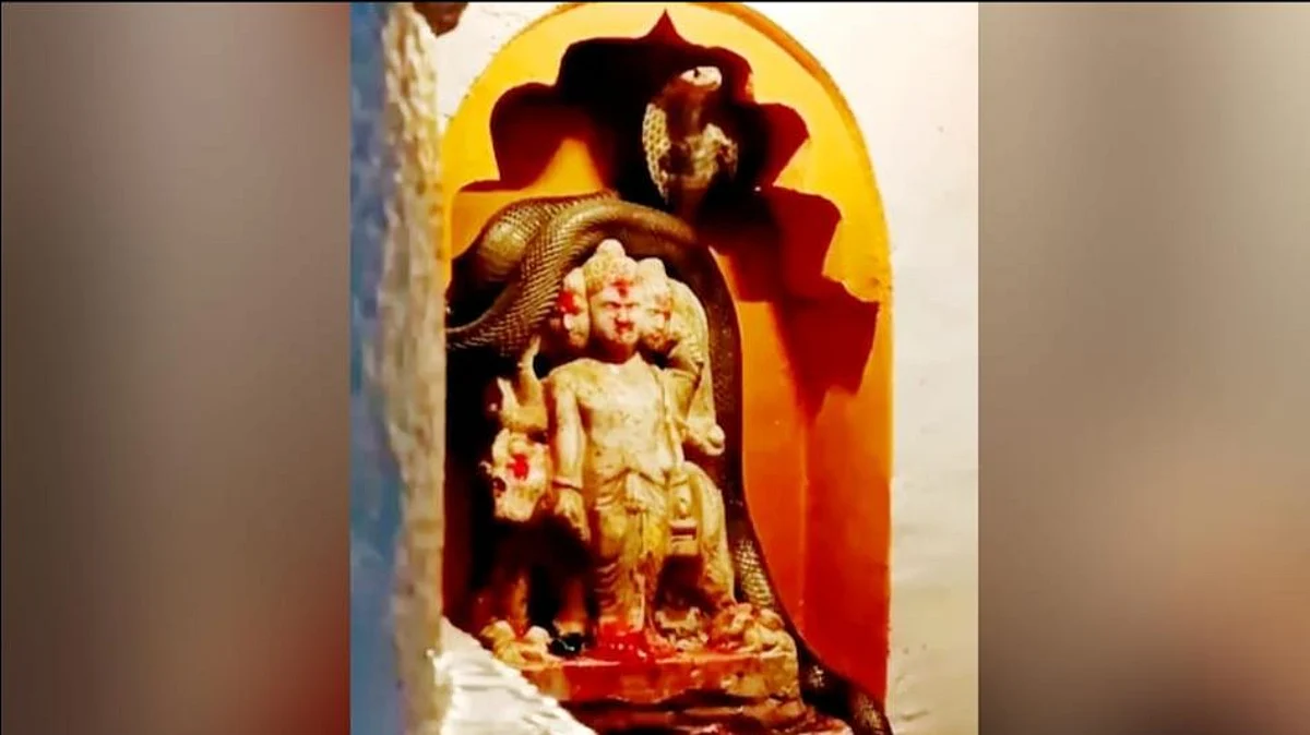 Pune Snake Viral Video