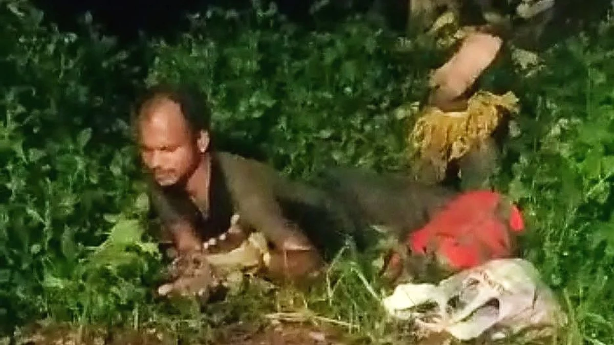 अपहरण करुन मामाला जंगलात फेकलं, भाच्याचं विचित्र कृत्य