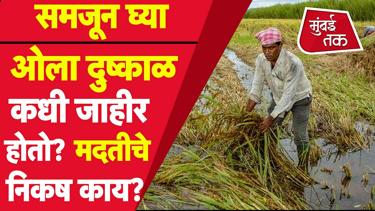 Marathwada Flood 2021 : ओला दुष्काळ कोणत्या परिस्थिती जाहीर होतो? काय असतात मदतीचे निकष?