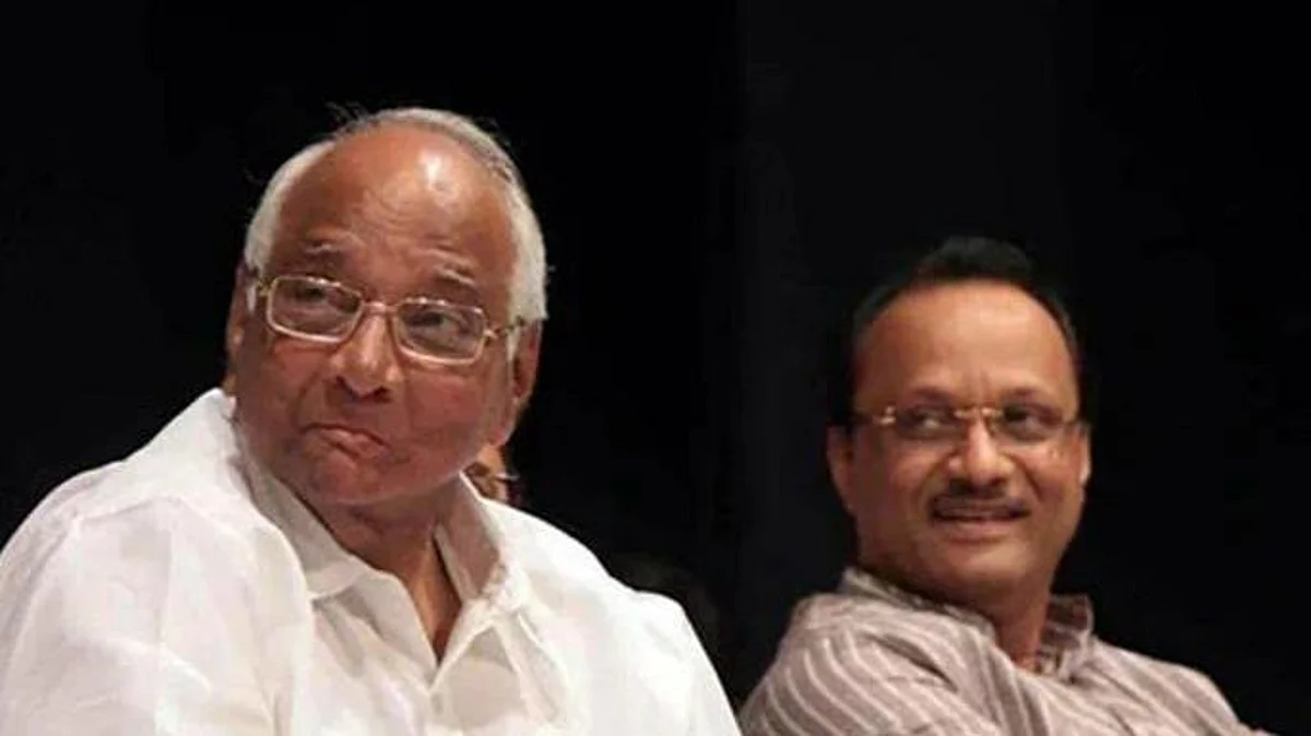 'शरद पवार यांना पंतप्रधान आणि अजित पवारांना मुख्यमंत्रपदी बसलेलं बघायचं आहे'