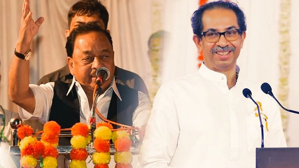 मुख्यमंत्री ठाकरे कानात काय बोलले ते राणेंनी आता सांगितलं, म्हणाले.. 'मग मला चीडच आली म्हटलं आता..'