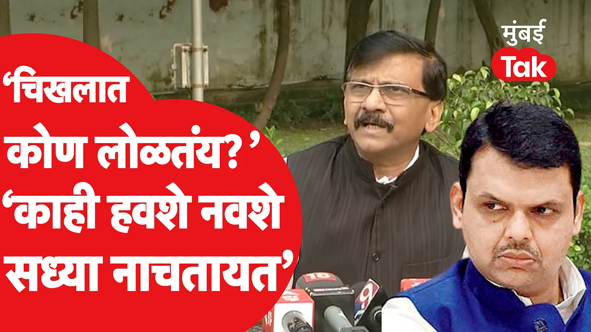 Devendra Fadnavis यांच्या 'डुक्कराशी कुस्ती नको' या विधानावर Sanjay Raut यांचा टोला