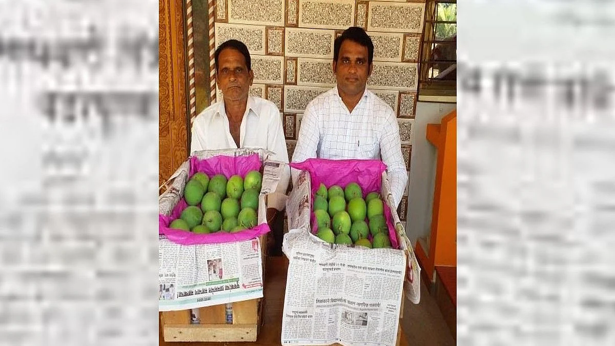 हापूस इलो रे ! देवगड हापूसची पहिली पेटी बाजारात दाखल