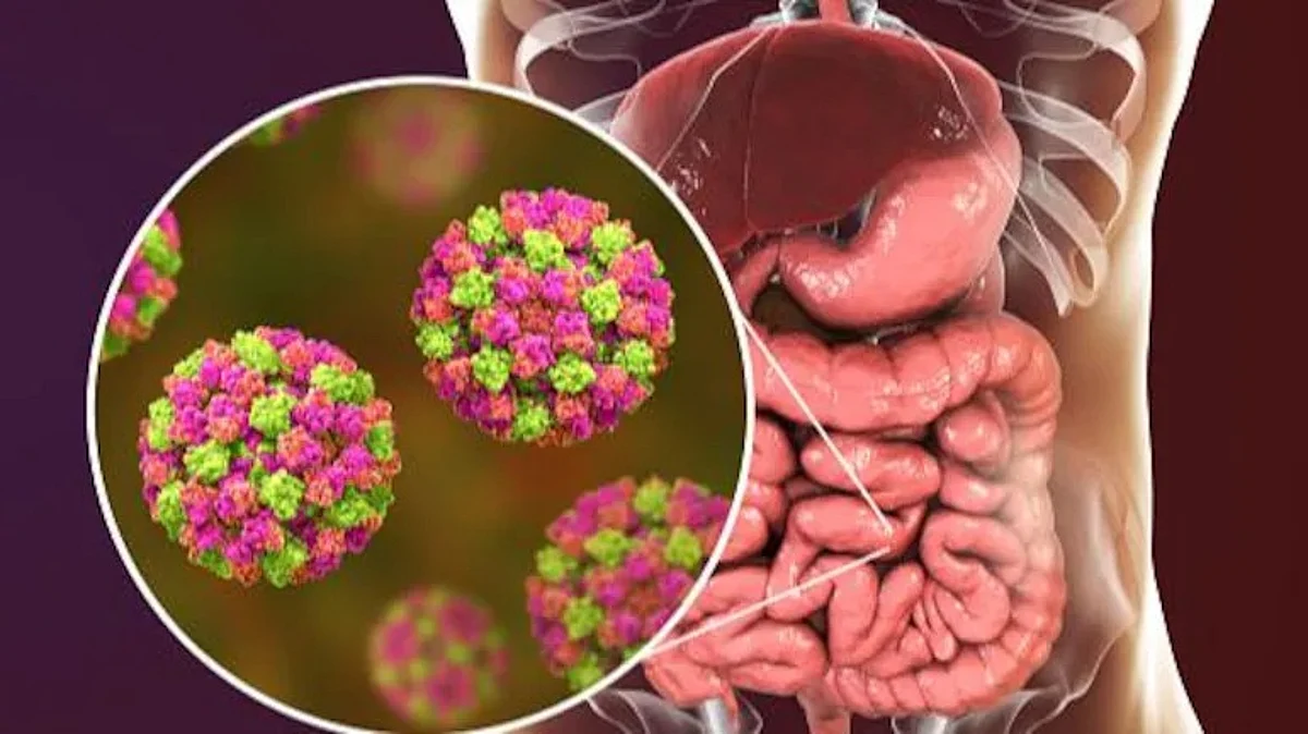 NoroVirus : केरळात नोरोव्हायरसचे आढळले 13 रुग्ण; काय आहेत लक्षणं?