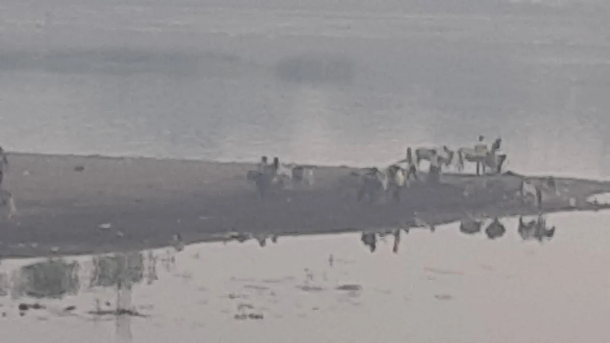 अवैध वाळू उपशावरून अधिवेशनात खडाजंगी होऊनही भीमा नदी पात्रातून बेसुमार वाळू उपसा सुरूच