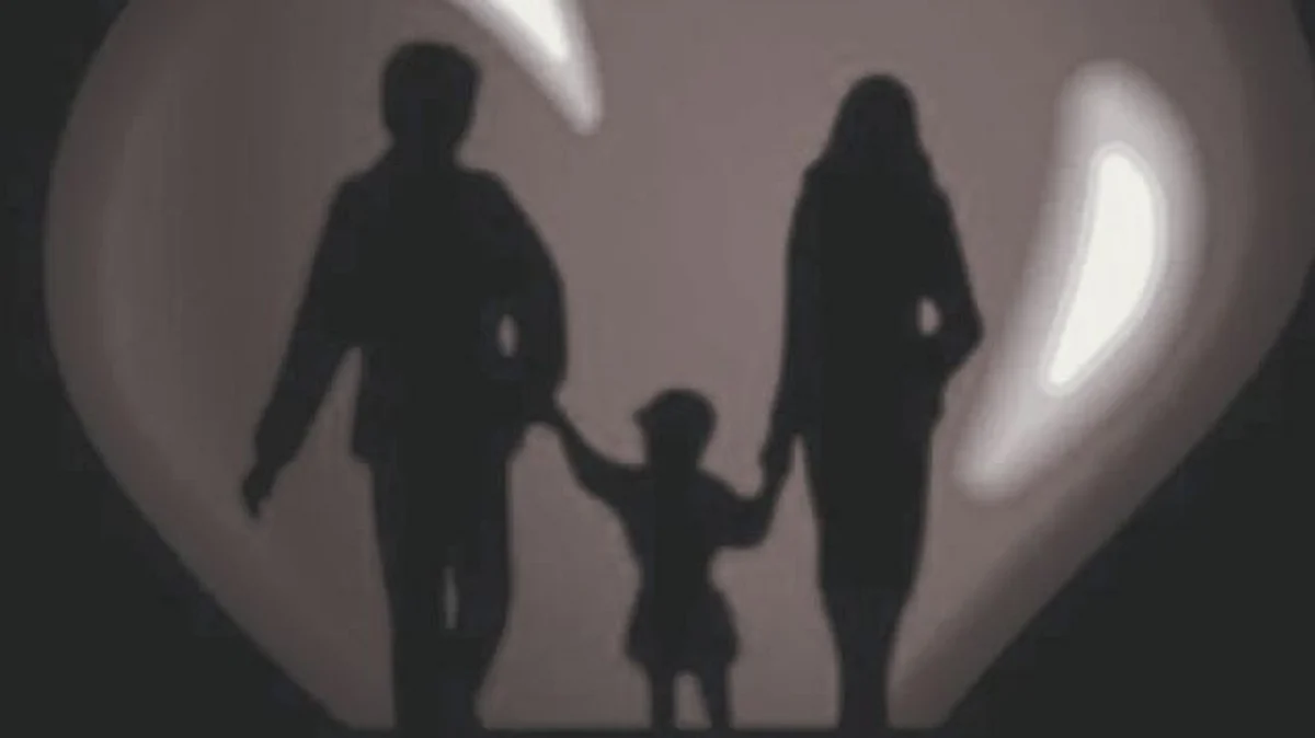 Surrogacy Bill: 'यांना' सरोगसीद्वारे अपत्य मिळवता येणार नाही, सरकारकडून विधेयकही संमत