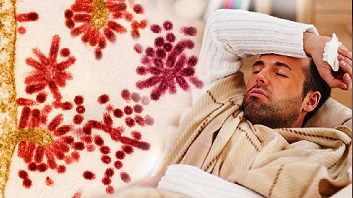 Omicron वेगाने का पसरतोय? WHO ने सांगितली 'ही' तीन कारणं