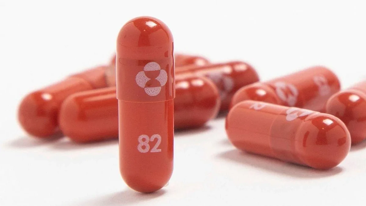 Molnupiravir Corona Medicine: 35 रुपयांची कॅप्सूल, 5 दिवसांचा कोर्स; कोरोना बरा करण्याऱ्या गोळीबद्दल सगळी माहिती
