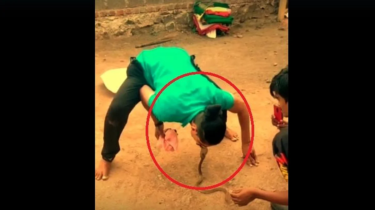 forest department has arrested youth for making life threatening video with a snake posting it on social media