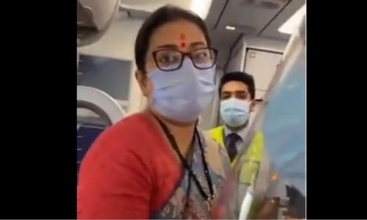 स्मृती इराणींना विमानातच महागाईवरून केला सवाल; काँग्रेस नेत्या काय म्हणाल्या?