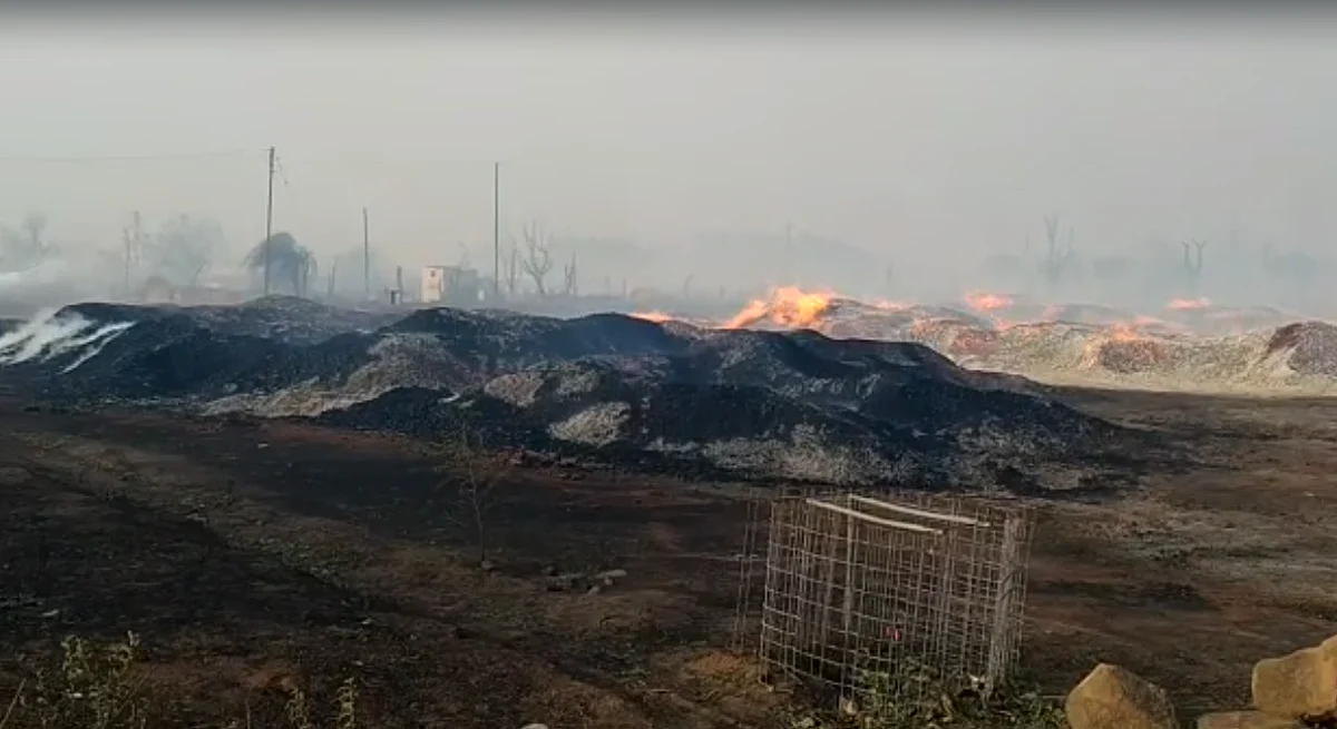 चंद्रपुरात भीषण आग, 20 एकरावर पसरलेल्या लाकूड डेपो जळून खाक; 50 कोटींचे नुकसान