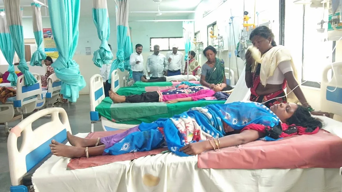 गडचिरोलीत अस्वलांच्या कळपाचा मजूर महिलांवर हल्ला, ४ महिला गंभीर जखमी