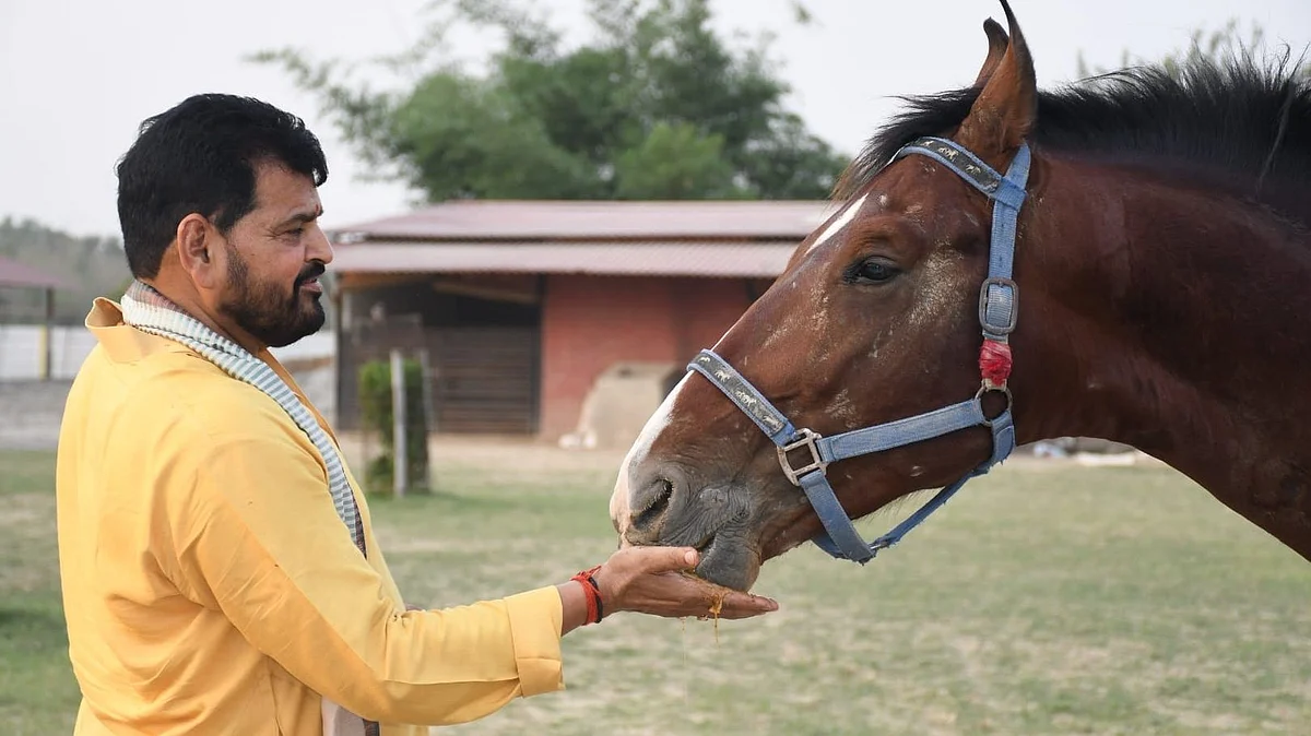 थेट राज ठाकरेंना आव्हान देणारे ब्रिजभूषण सिंह कसे बनले 'राजकीय बाहुबली'?