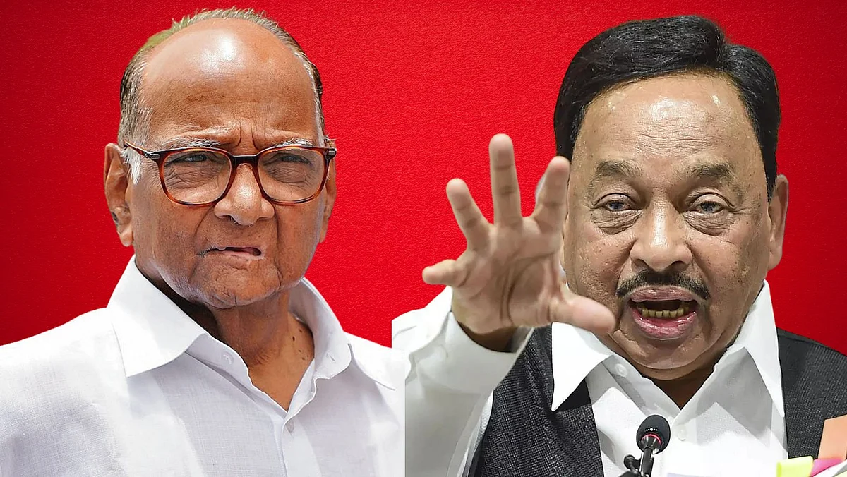 नारायण राणेंचा शरद पवारांना धमकीवजा इशारा; 'आमदारांच्या केसालाही धक्का लावल्यास...'