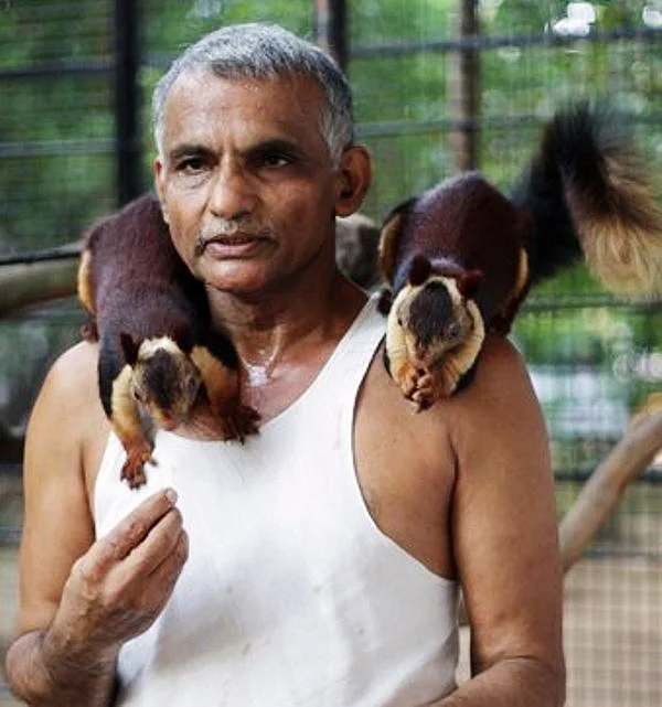 Prakash Aamte has been admitted to deenath magneshkar hospital due to fever and cough