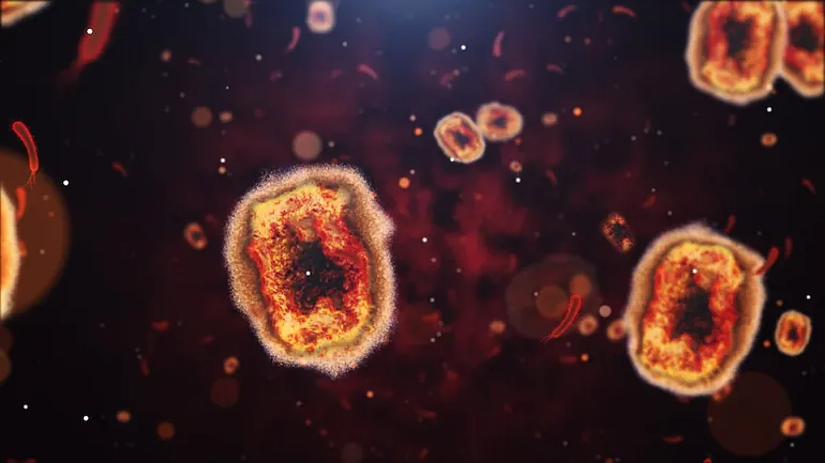Langya virus the latest infection emerging from China