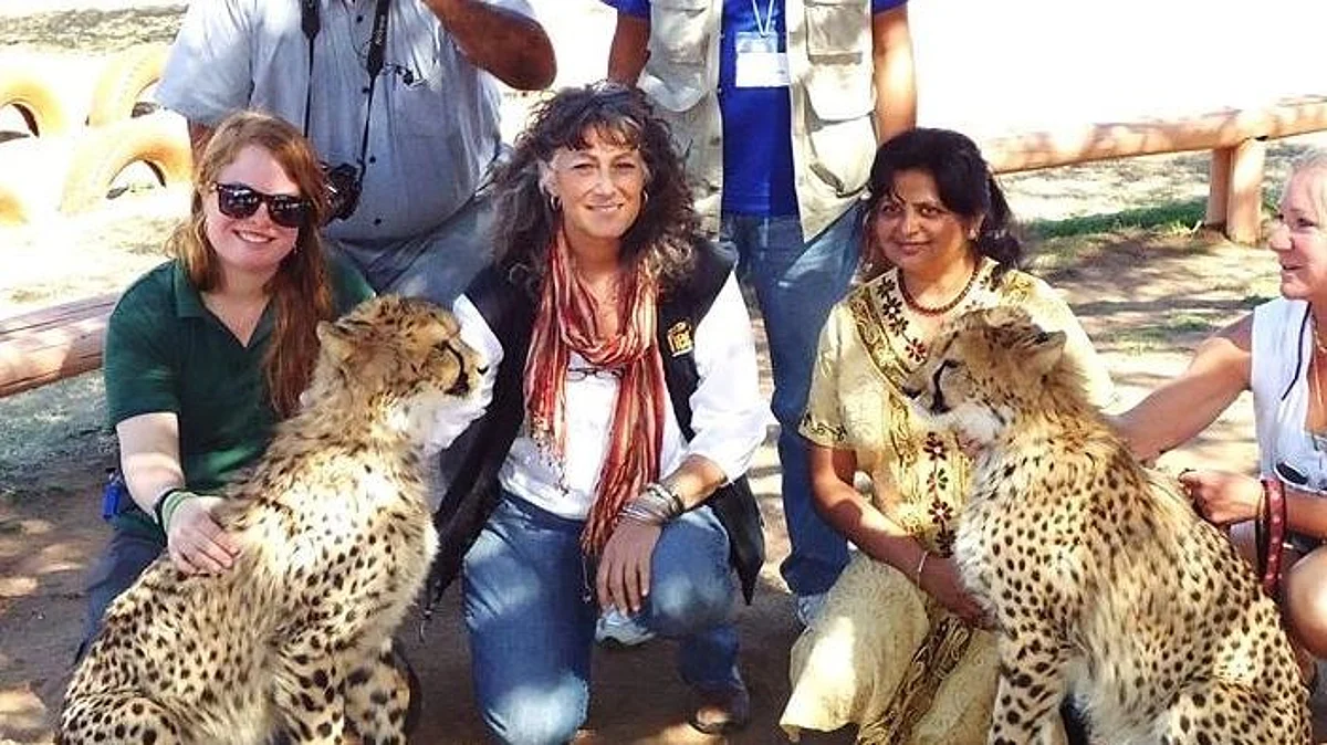 How a Nagpur-based scientist Dr Pradnya Giradkar played a role in fastening Cheetahs’ relocation