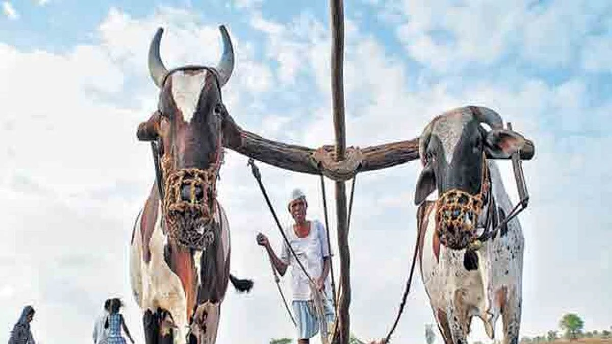 Complete loan waiver for farmers who have taken loan from Bhu Vikas Bank, a big decision of Shinde Fadnavis government