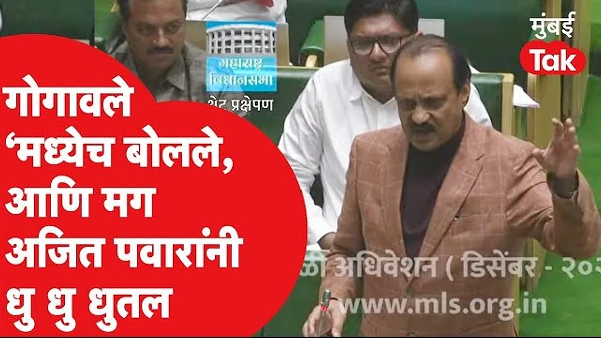 अजित पवारांची आमदार भरत गोगावलेंवर बोचरी टीका
