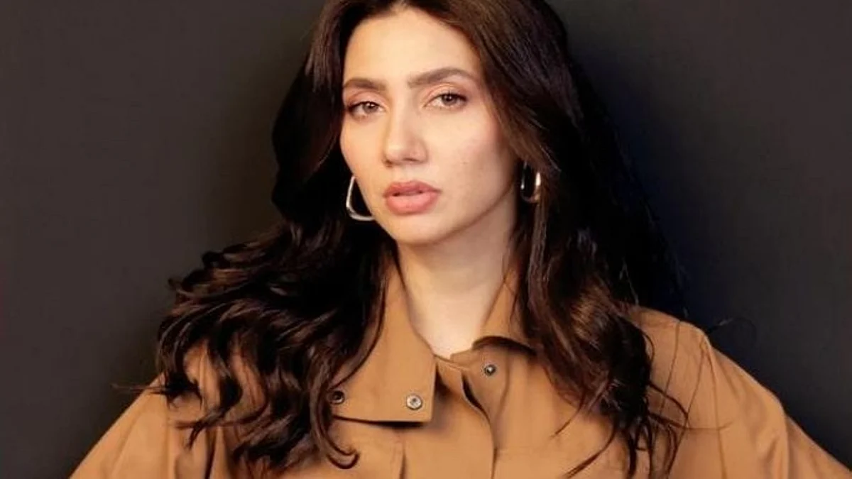 Mahira Khan said that the actors and other artists were the easy targets in this politics between India and Pakistan