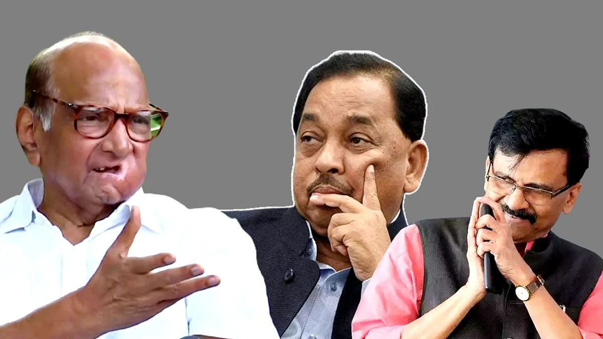 Sharad Pawar Reaction On Sanjay Raut and narayan Rane political dispute
