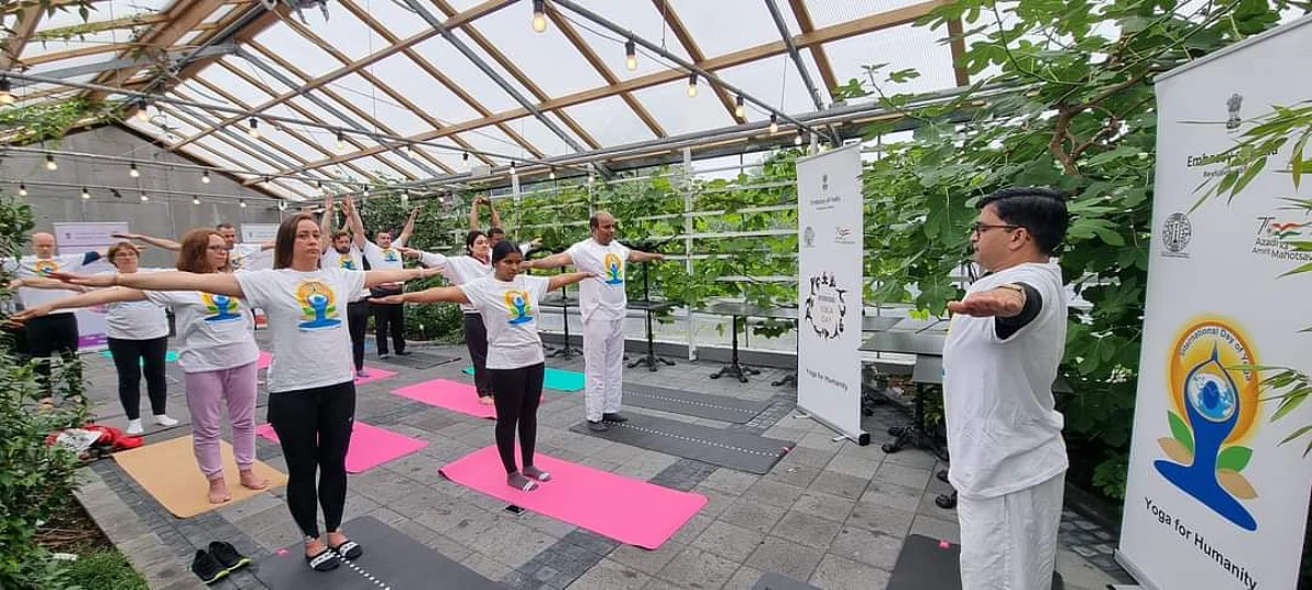 Yoga Enthusiasts performing Asasanas at the Botanical Garden.