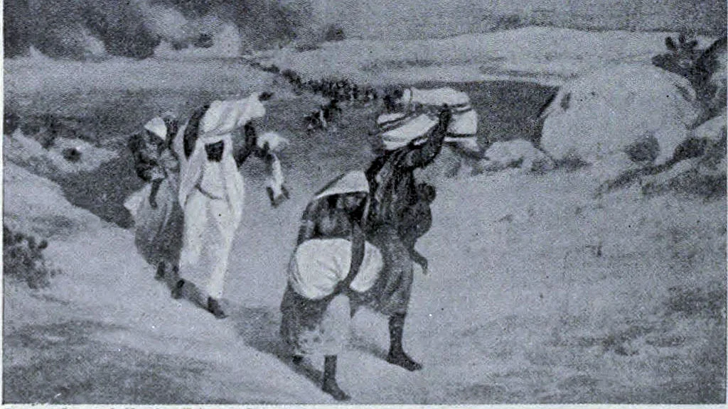 Image courtesy: Wikimedia Commons