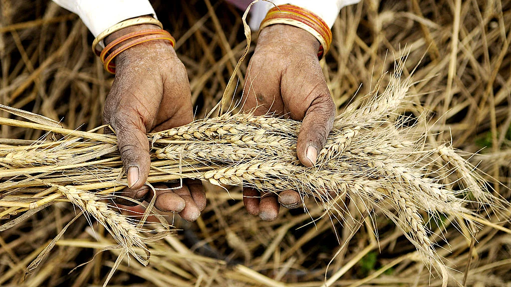 Photo by Burhaan Kinu/Hindustan Times via Getty Images