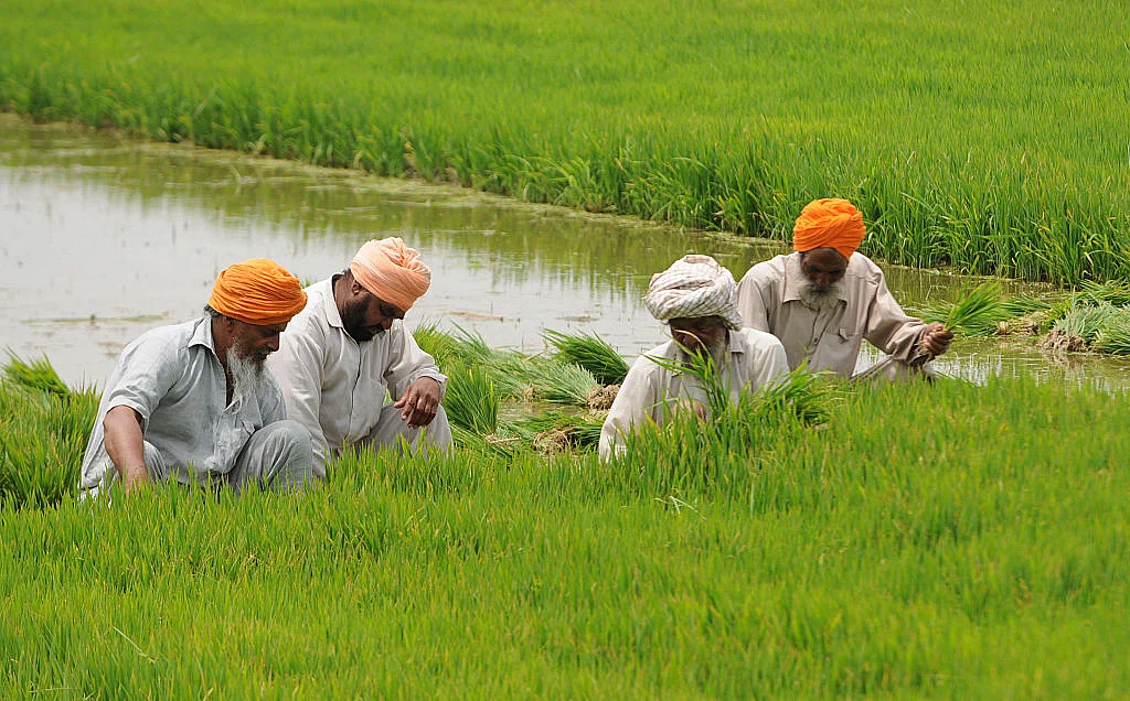 Photo by Bharat Bhushan/Hindustan Times via Getty Images
