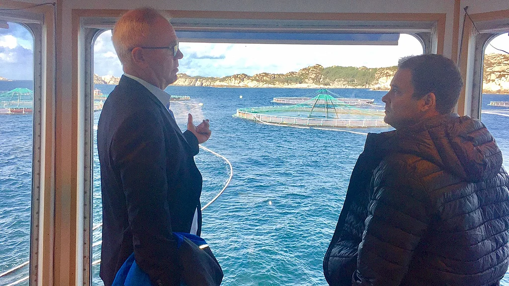 Photo taken from Norwegian Embassy’s Facebook page
