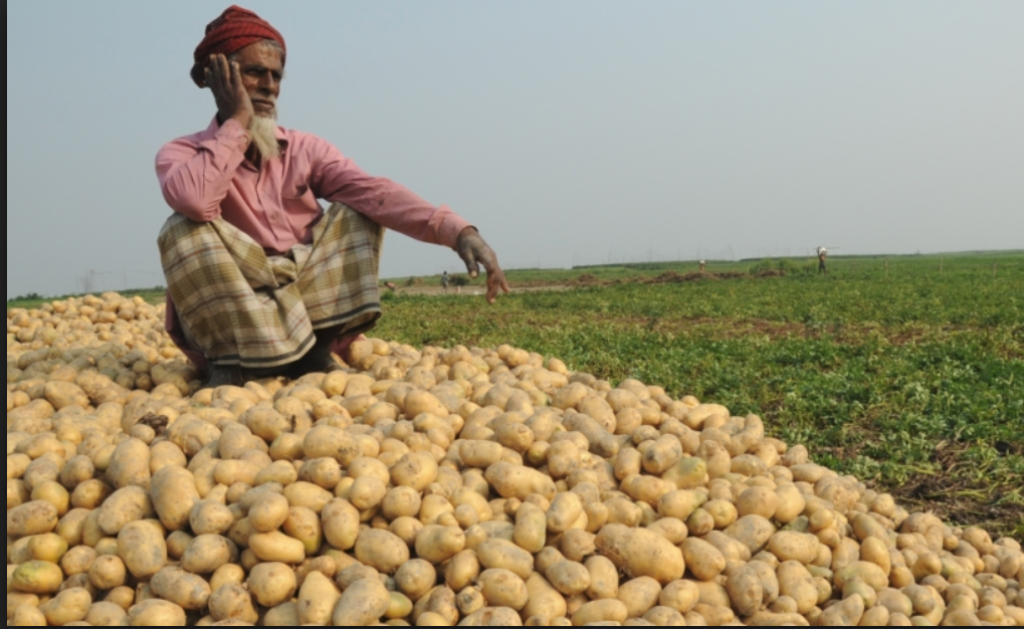Cold storages selling potatoes at ₹2 a kilo
