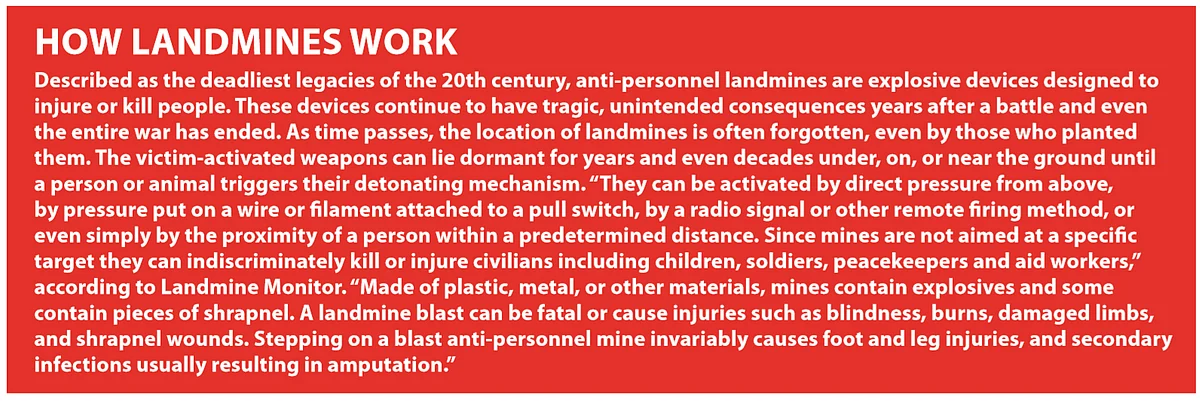 India’s morbid obsession with landmines