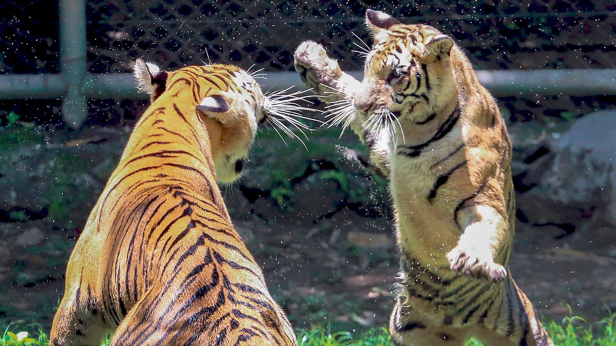 July 19: Delhi and beyond, in pictures