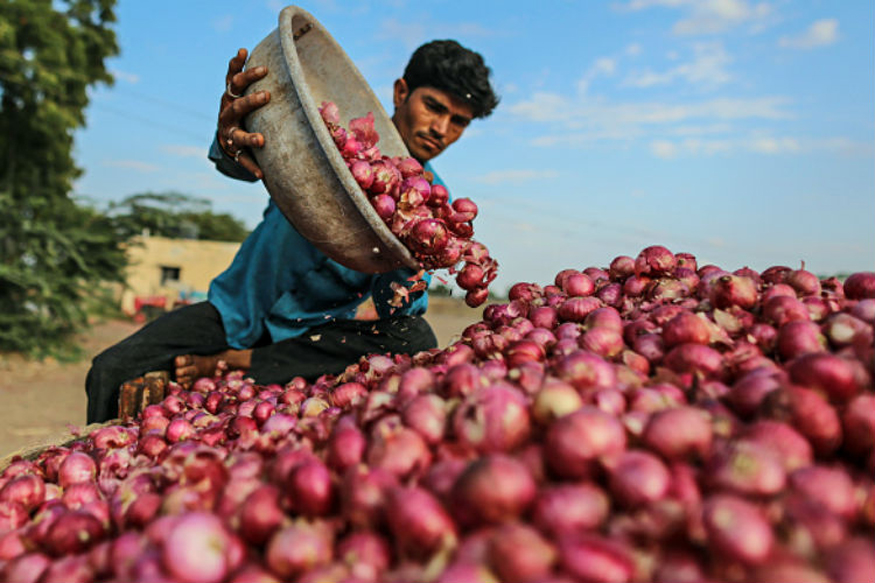 Maharashtra govt rubs salt on onion farmers wounds’, says crop was “not good”