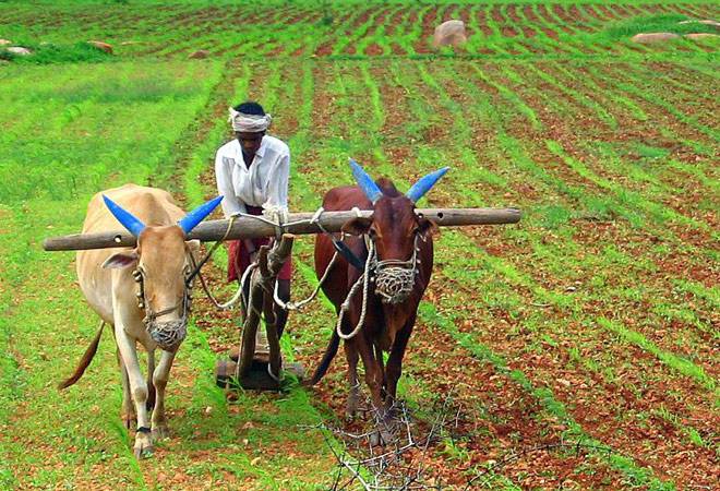 Madhya Pradesh farmers not happy with budget, income support is too low to meet the crisis
