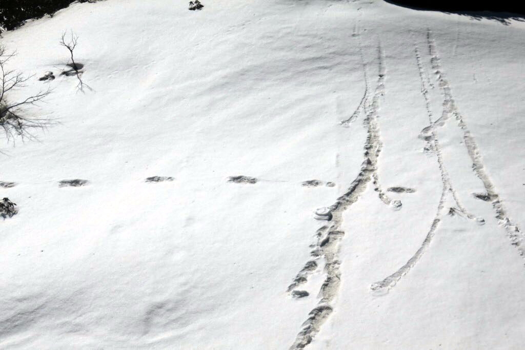 Indian Army team spots ‘Yeti’ footprints at base camp in Himalayas