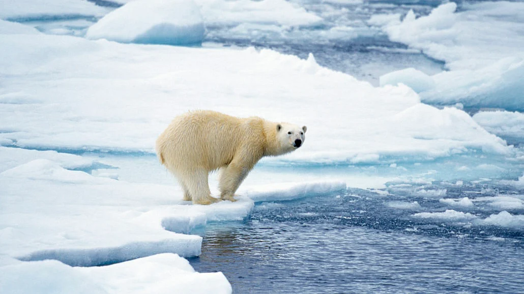 World not doing enough about climate change states a UN report