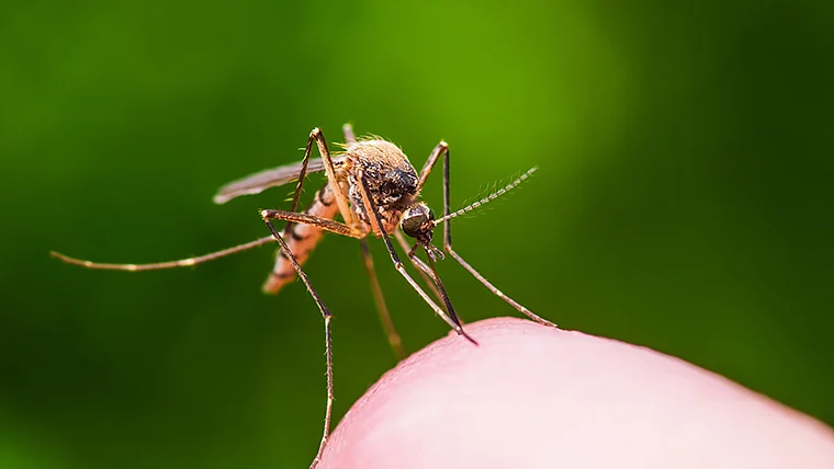 200 Chinese nationals working at Pak atomic energy plant diagnosed with dengue