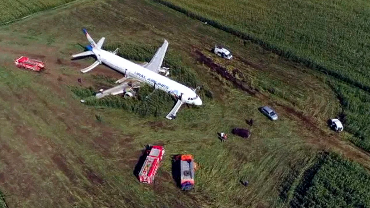 Pilot hailed as hero after bird strike disables Russian jet