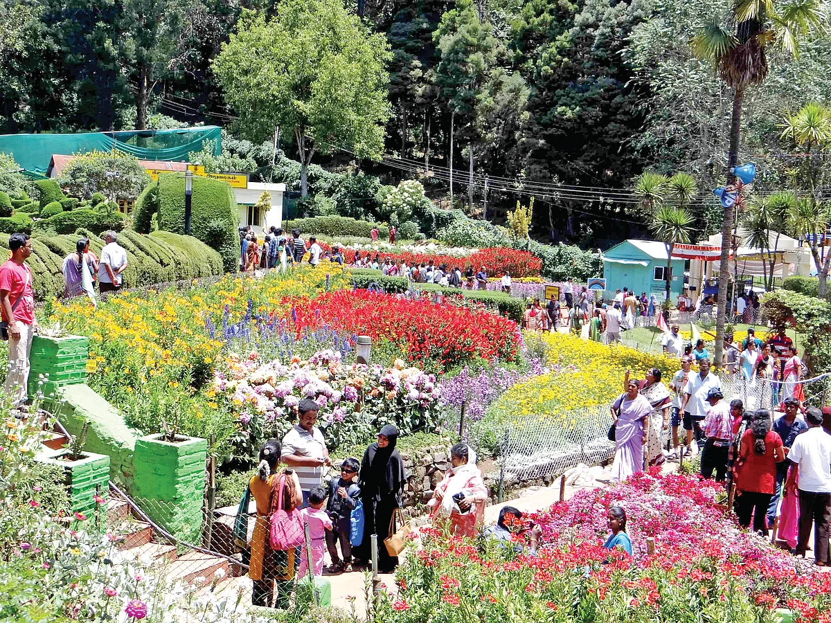 The magic of Kodaikanal