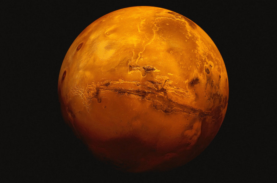 Do we need a backup planet to survive?