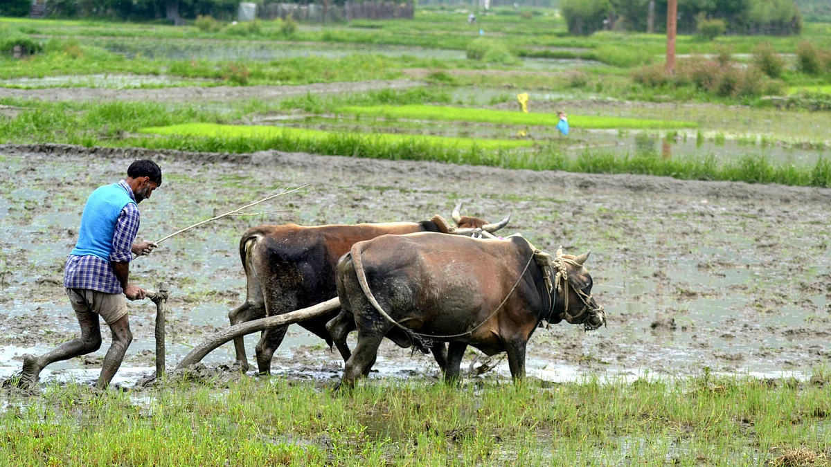 Photo courtesy: IANS