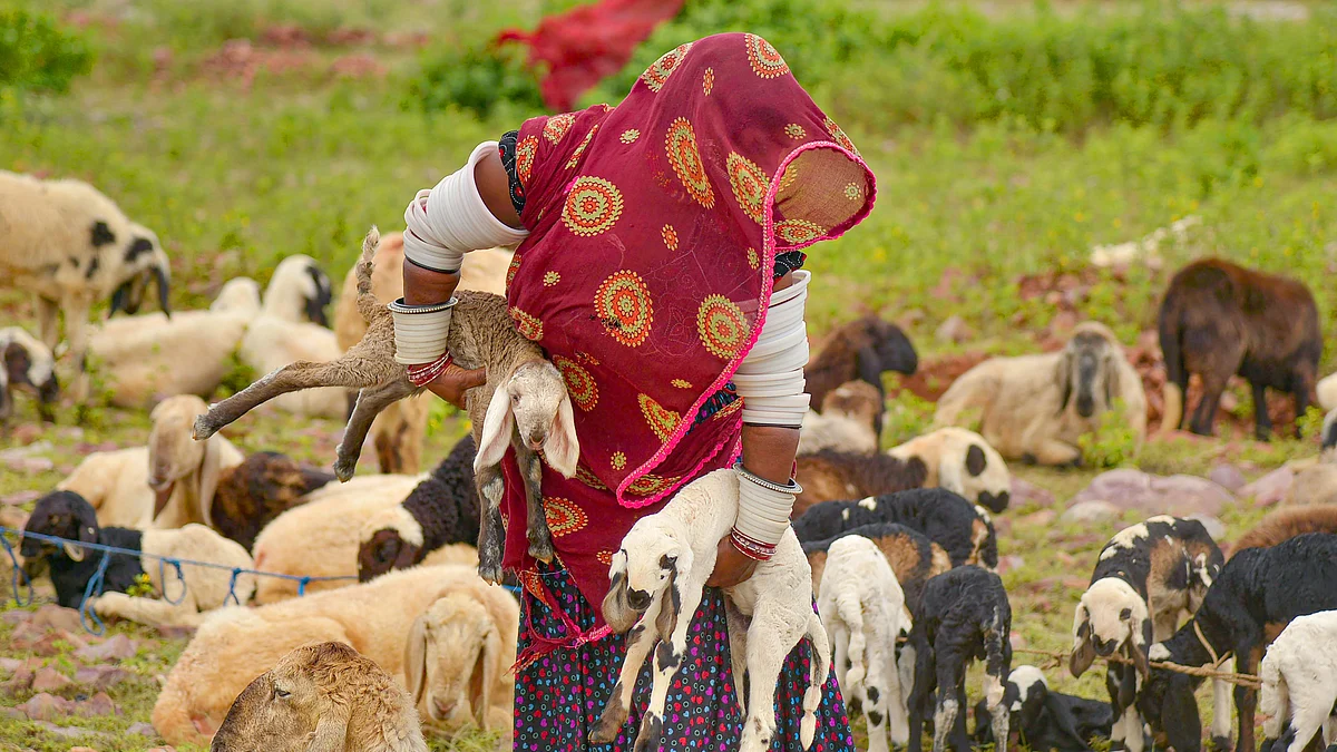 September 20: Delhi and beyond, in pictures
