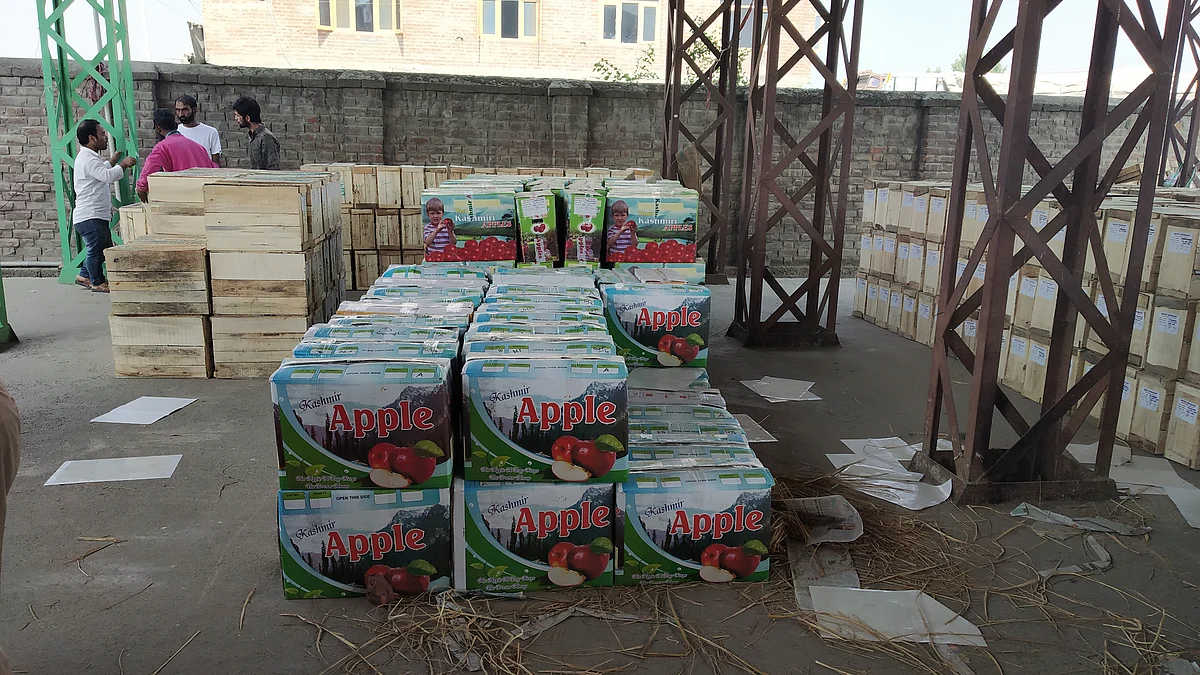 Cartons of Kashmir apples lying in the mandi (NH photo/Majid Maqbool)