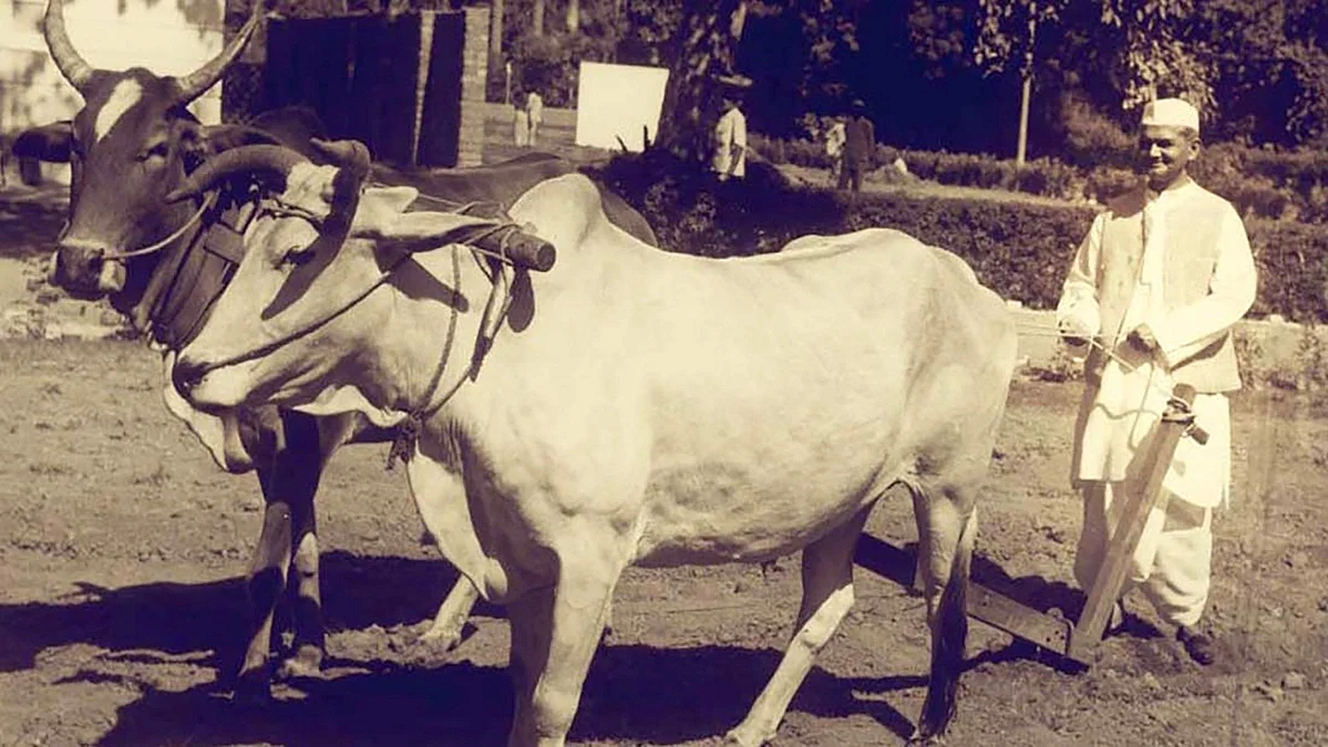 Lal Bahadur Shastri ploughing Pradhan Mantri Awas’ lawn
