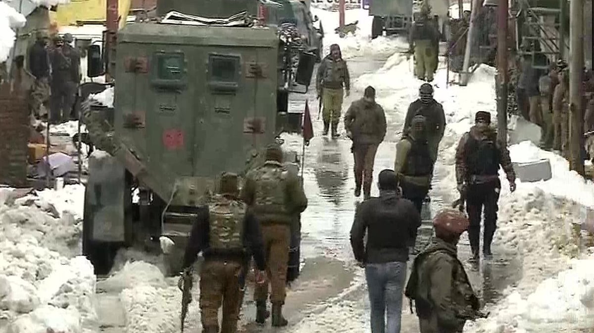 Cordon search essay 06 image